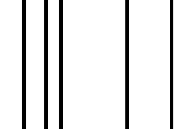 #1073/51505-51552/2025-03-06
