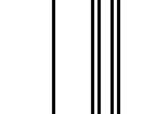 #1069/51313-51360/2025-03-02