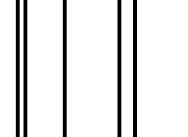 #1047/50257-50304/2025-02-08
